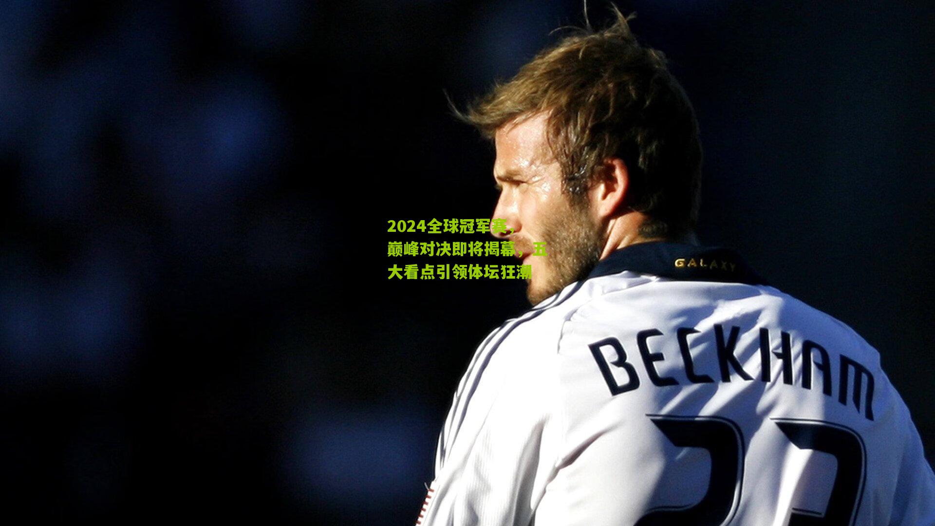 2024全球冠军赛,巅峰对决即将揭幕,五大看点引领体坛狂潮